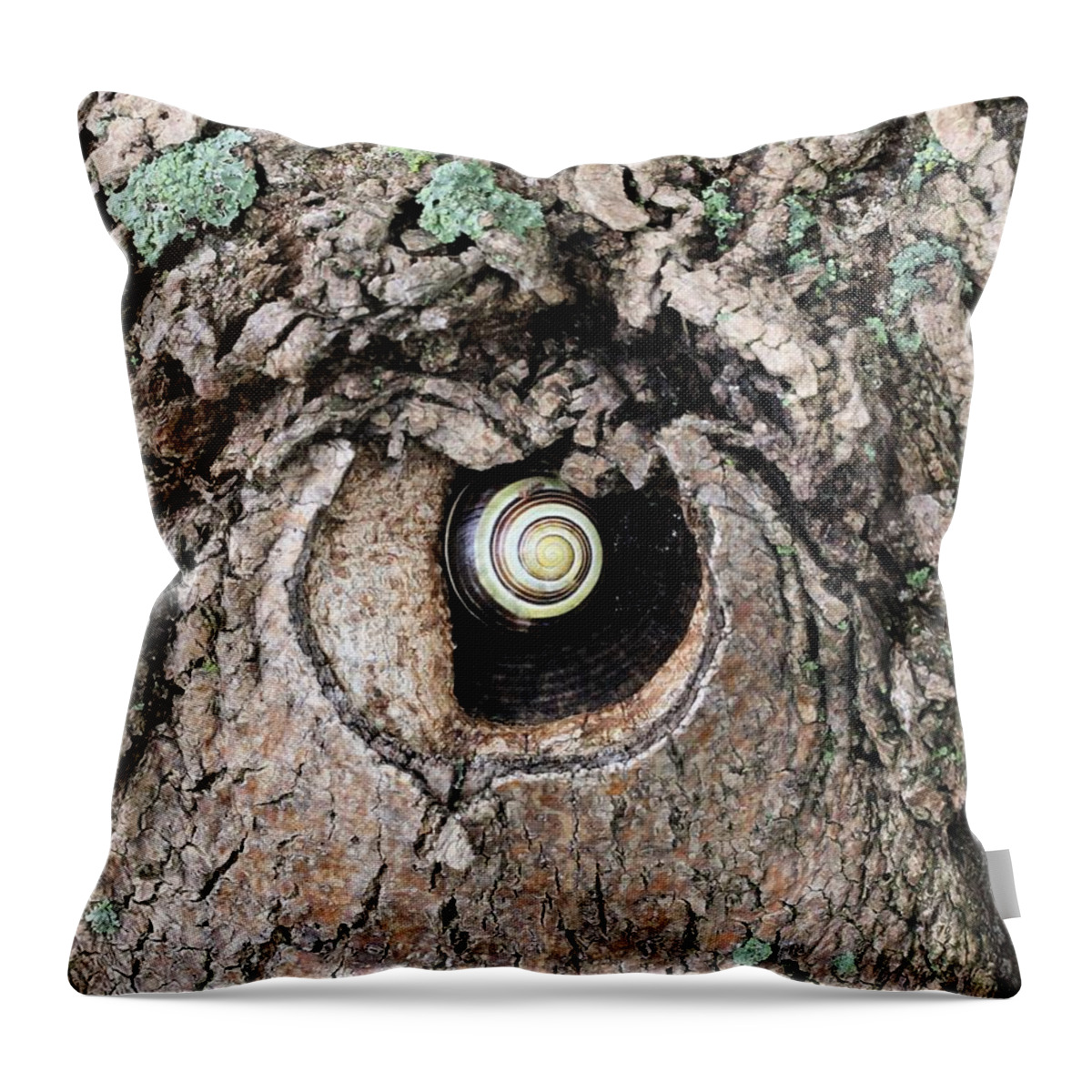 Snail Throw Pillow featuring the photograph The Forest Is Watching by Doris Potter