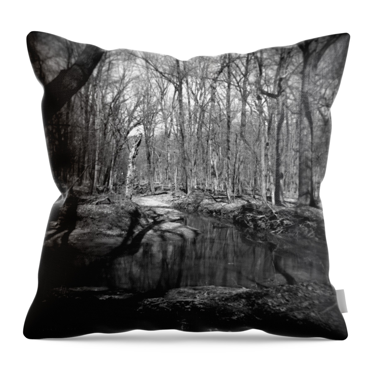Film Throw Pillow featuring the photograph The Forest by Verana Stark