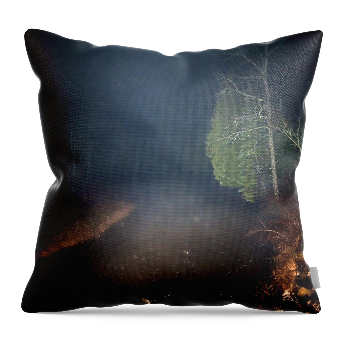 Fog Throw Pillow featuring the photograph The Formless is Not by Steven Dunn