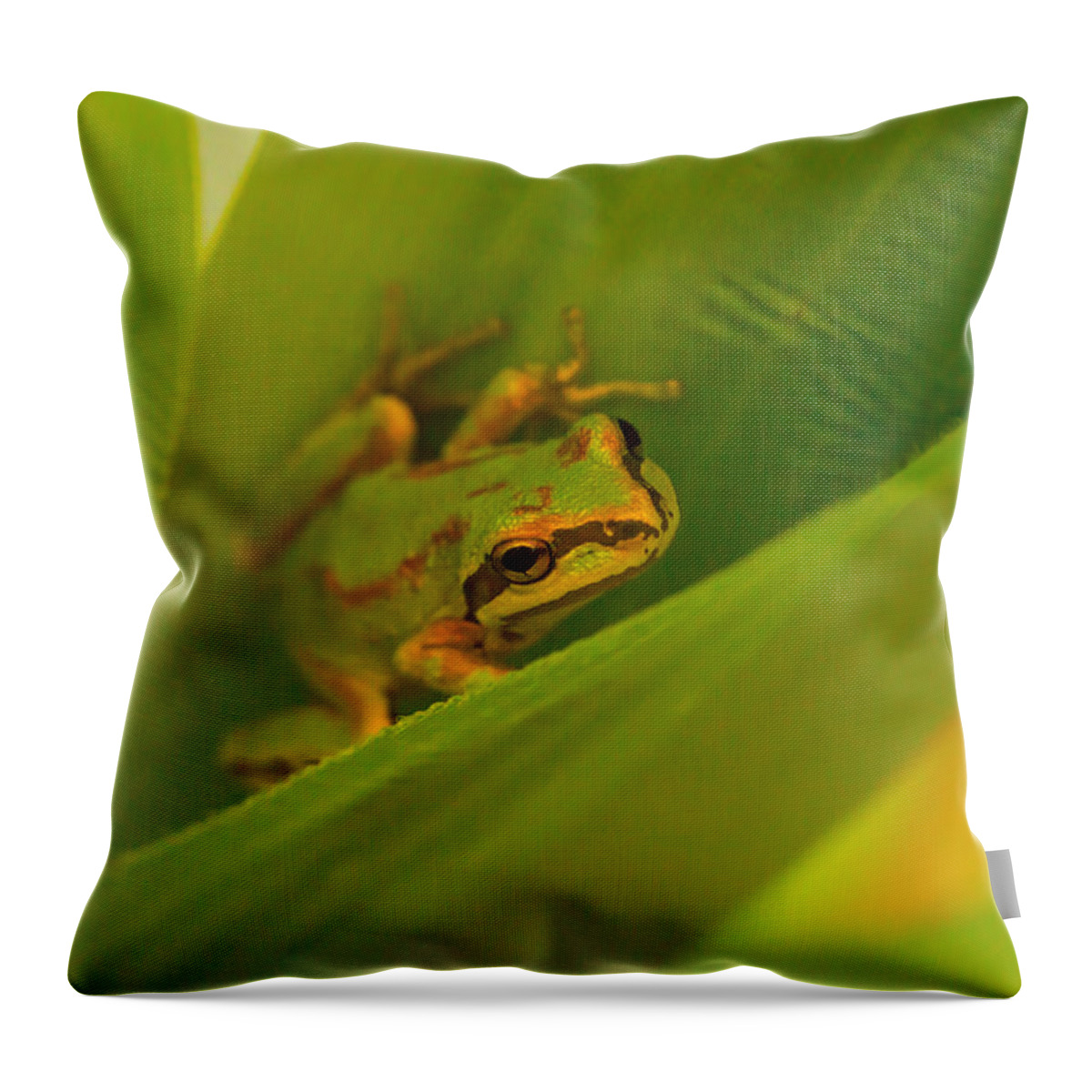 Frog Throw Pillow featuring the photograph The Frog by Dennis Bucklin