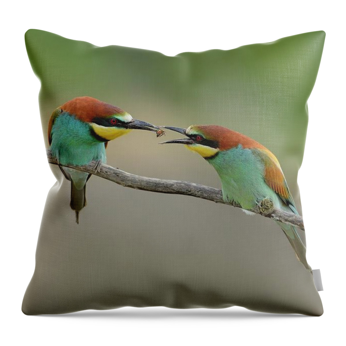 Animal Themes Throw Pillow featuring the photograph The Gift by Marco Pozzi Photographer