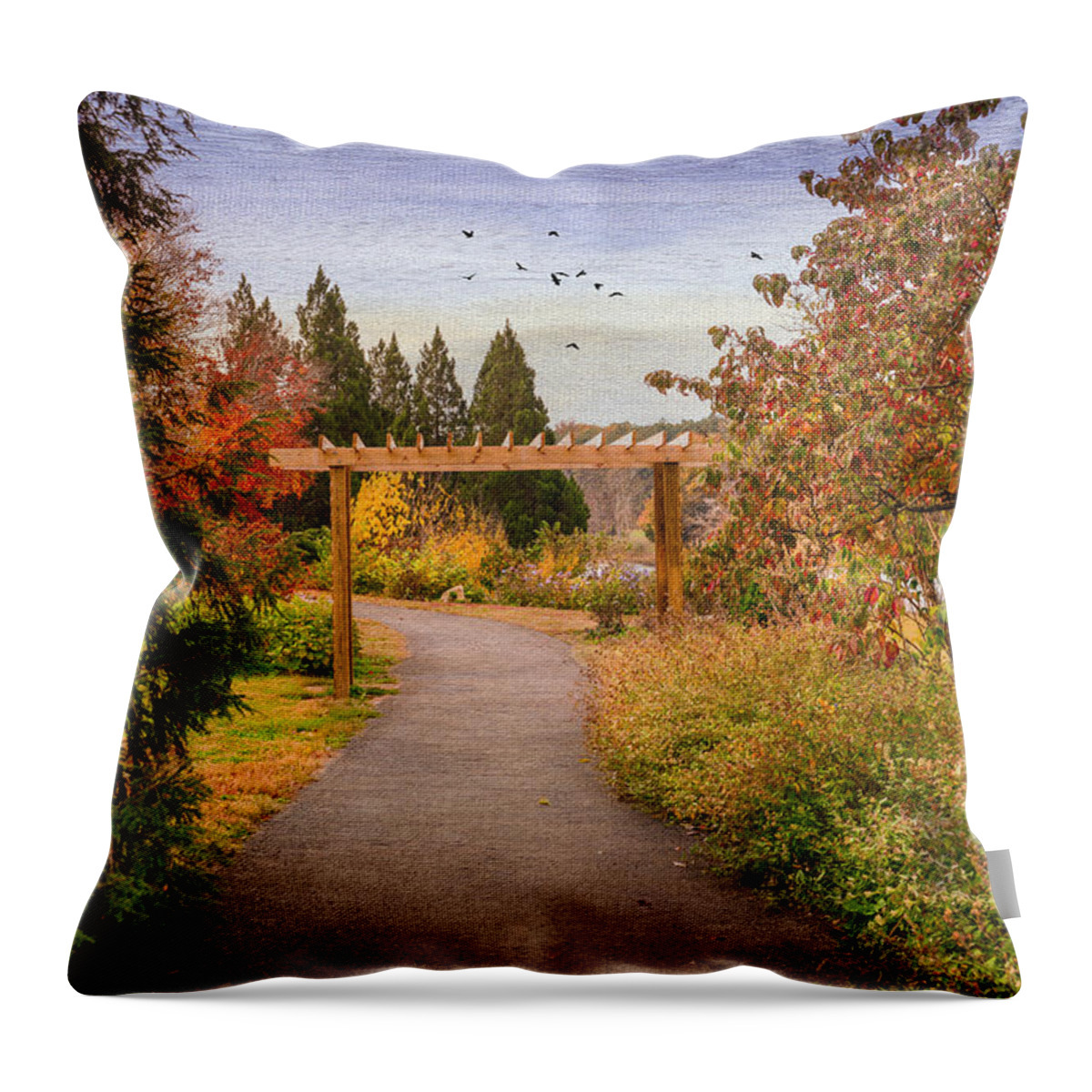 Bernheim Arboretum And Research Forest. Bardstown Throw Pillow featuring the photograph The Golden Path by Mary Timman