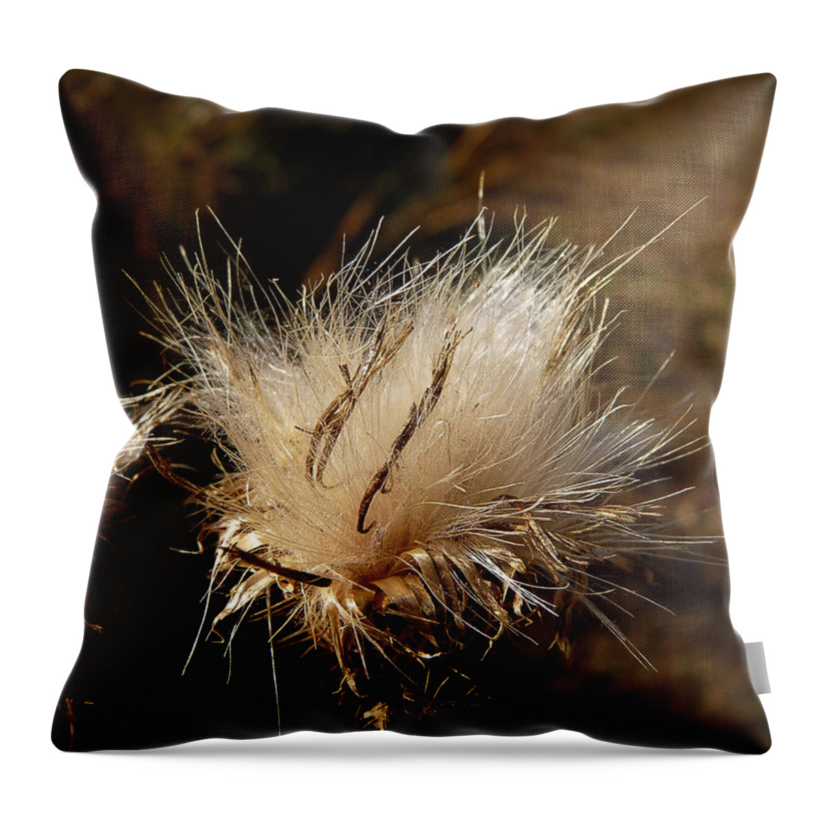 Gold Throw Pillow featuring the photograph The Golden Present by Lucinda Walter