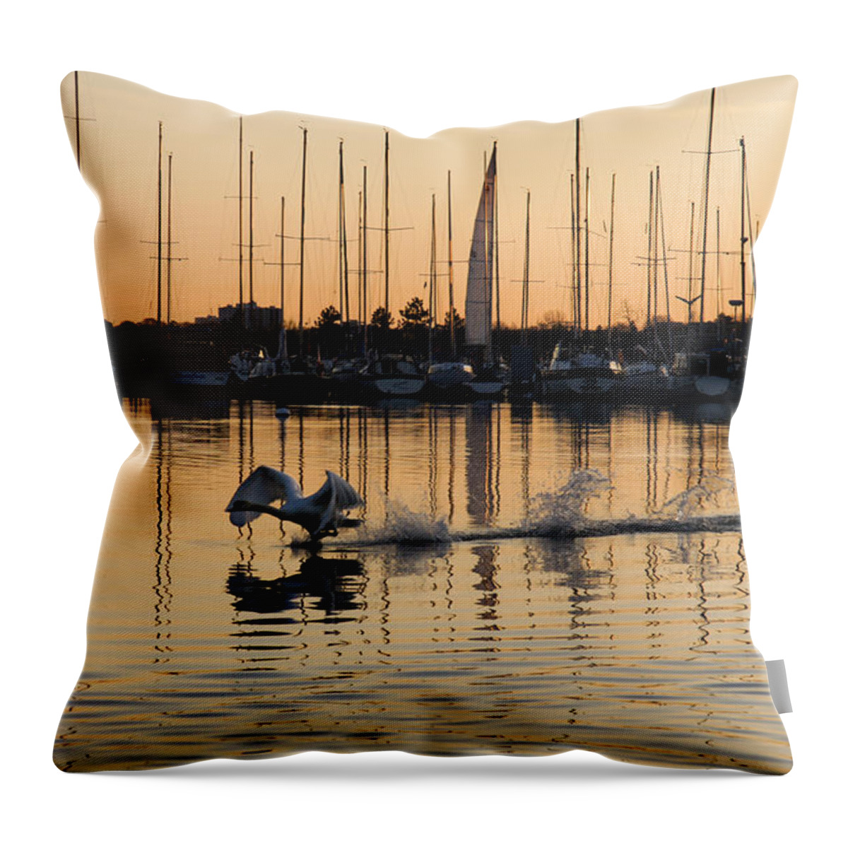 Takeoff Throw Pillow featuring the photograph The Golden Takeoff - Swan Sunset and Yachts at a Marina in Toronto Canada by Georgia Mizuleva