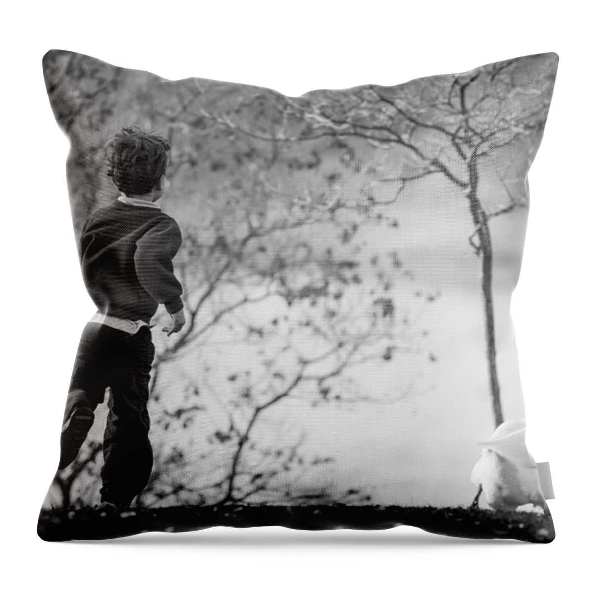 Goose Chase Throw Pillow featuring the photograph The Goose Chase by Priya Ghose
