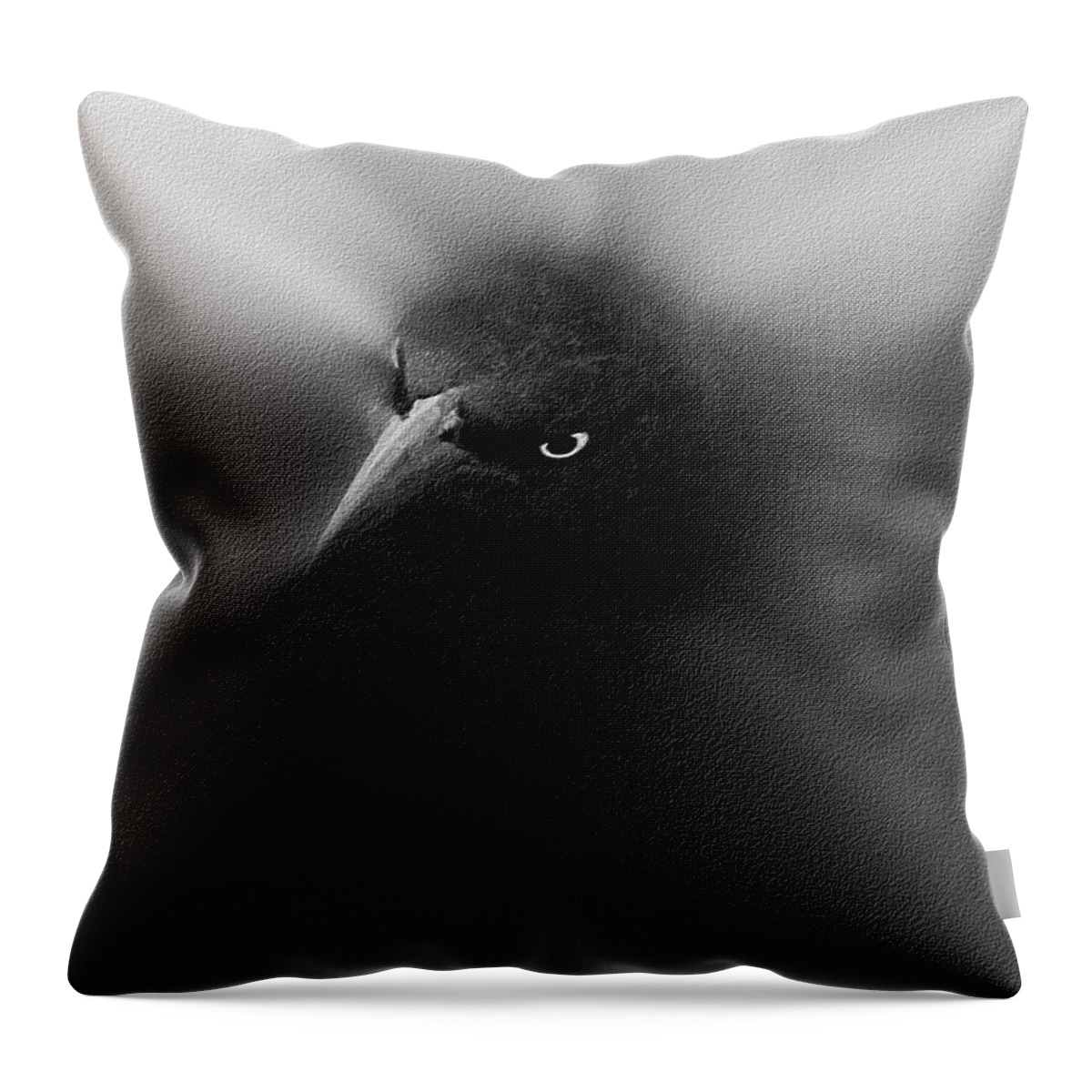 The Grackle Throw Pillow featuring the digital art The Grackle 2 BW by Ernest Echols