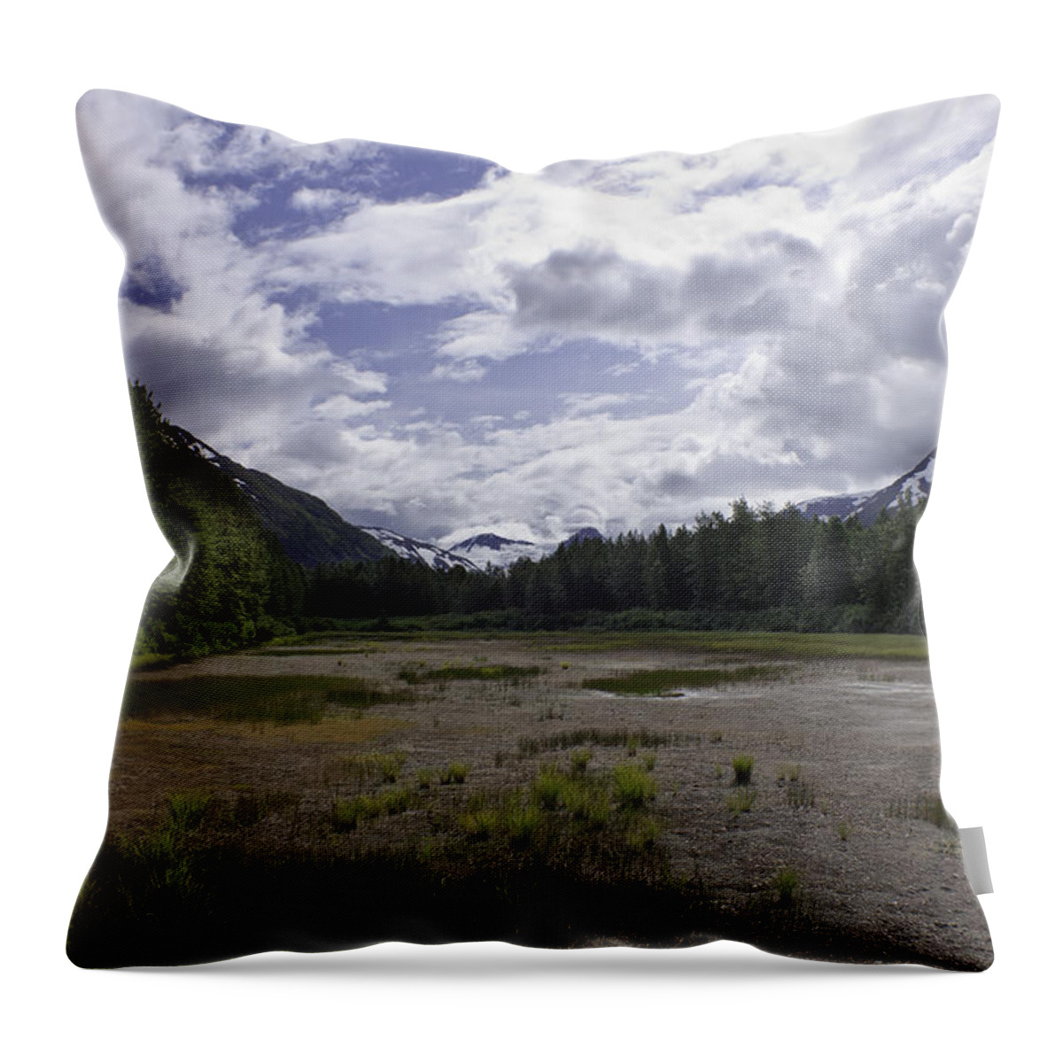 Alaska Throw Pillow featuring the photograph The Great Alaskan Wilderness by Kim Hojnacki