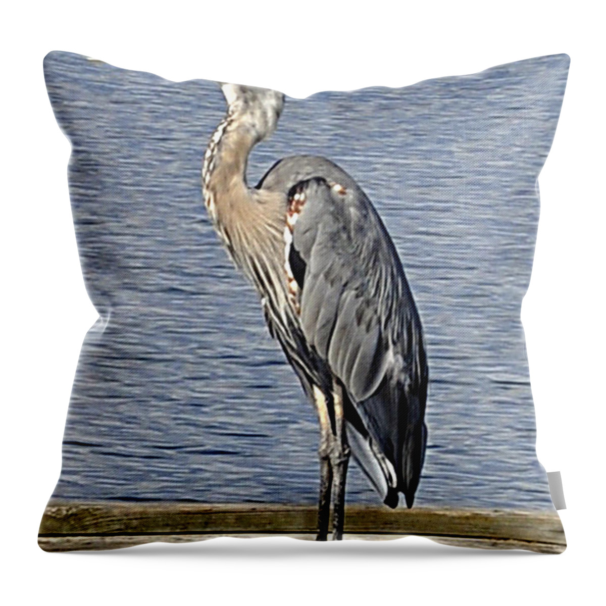 Great Blue Heron Throw Pillow featuring the photograph The Great Blue Heron Photo by Verana Stark
