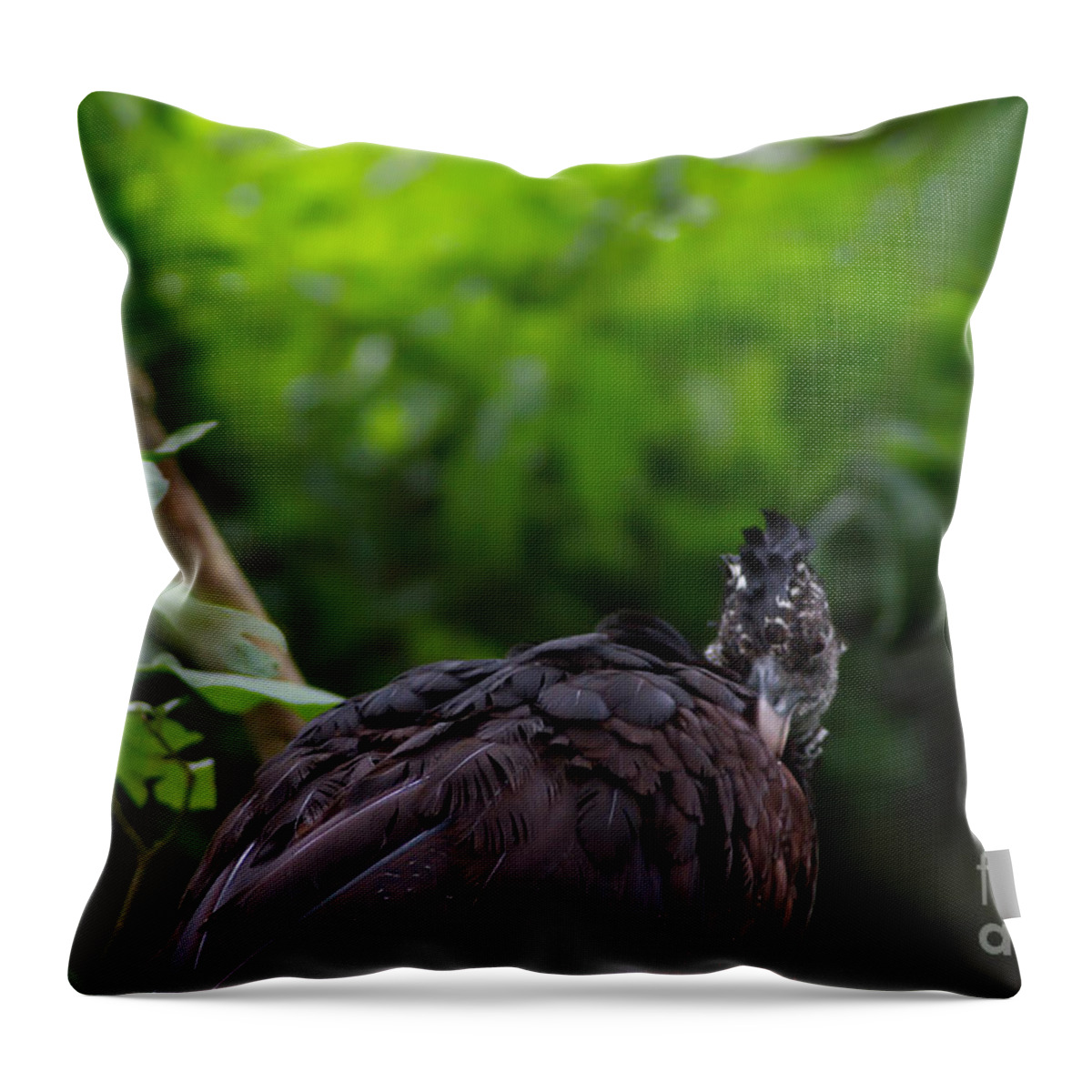 Michelle Meenawong Throw Pillow featuring the photograph The Great Curassow 2 by Michelle Meenawong