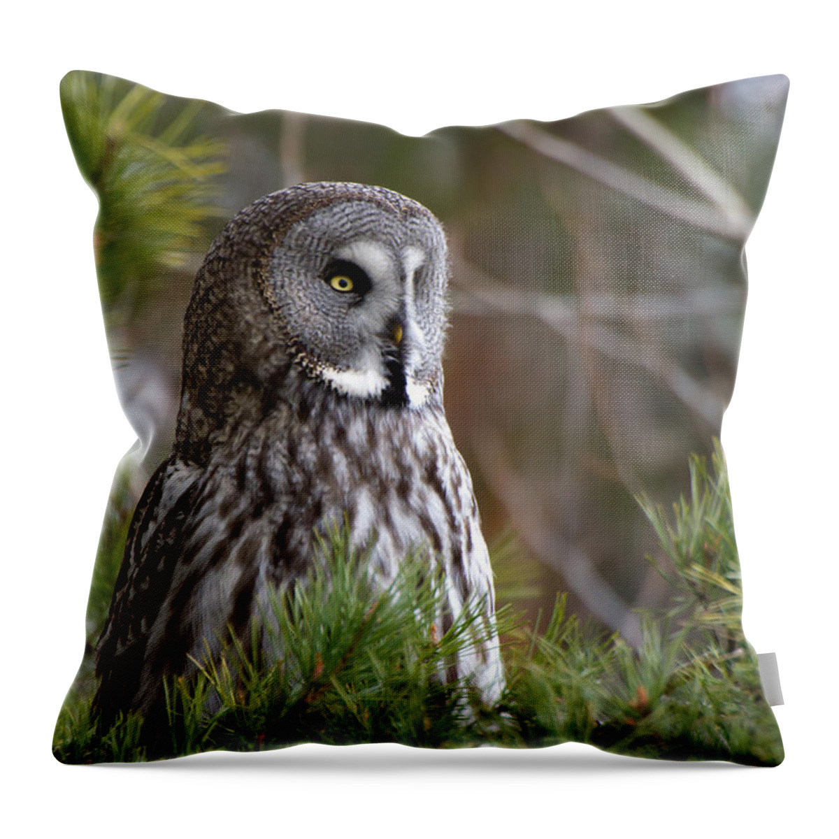 Great Gray Owl Throw Pillow featuring the photograph The Great Grey Owl by Torbjorn Swenelius