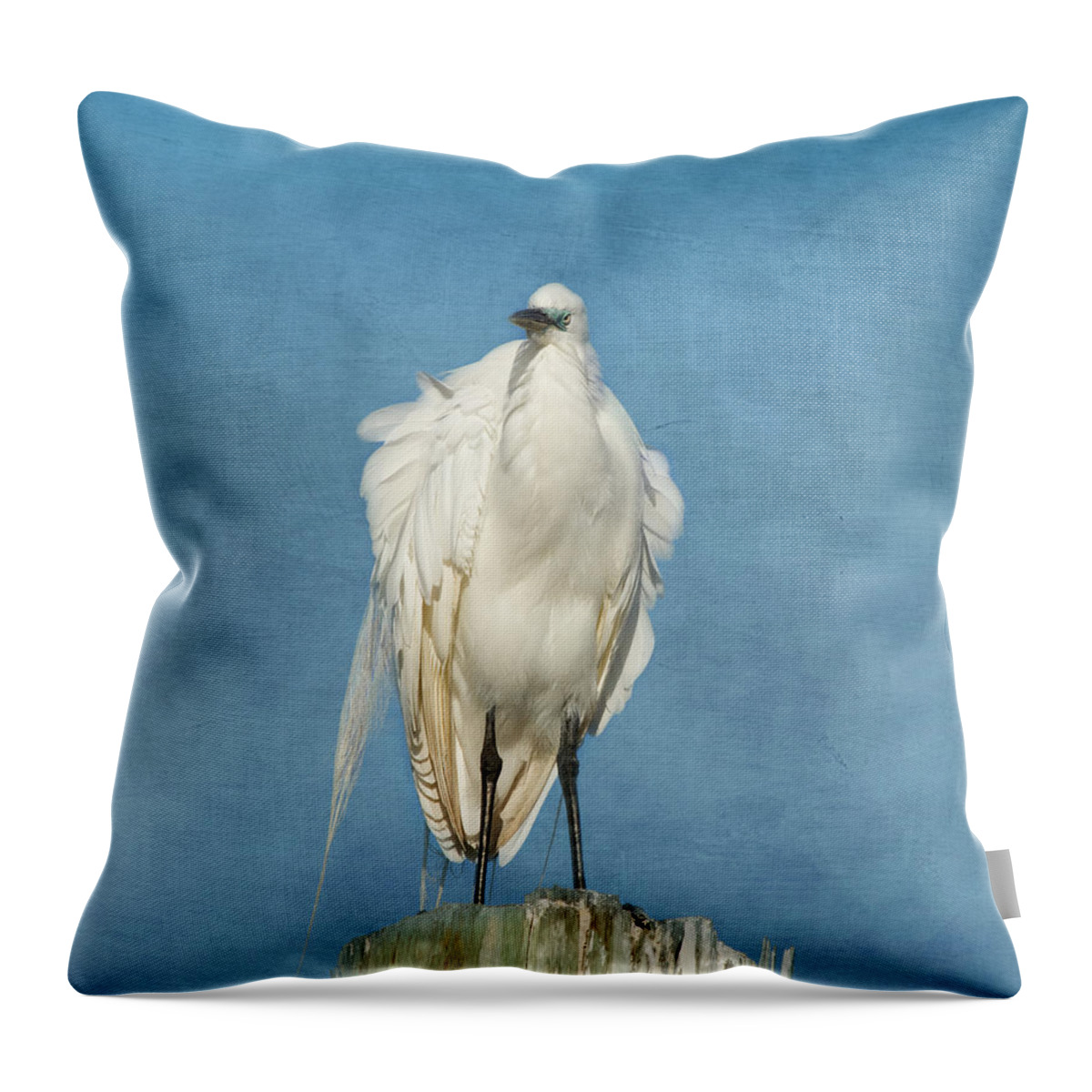 Egret Throw Pillow featuring the photograph The Great One by Kim Hojnacki