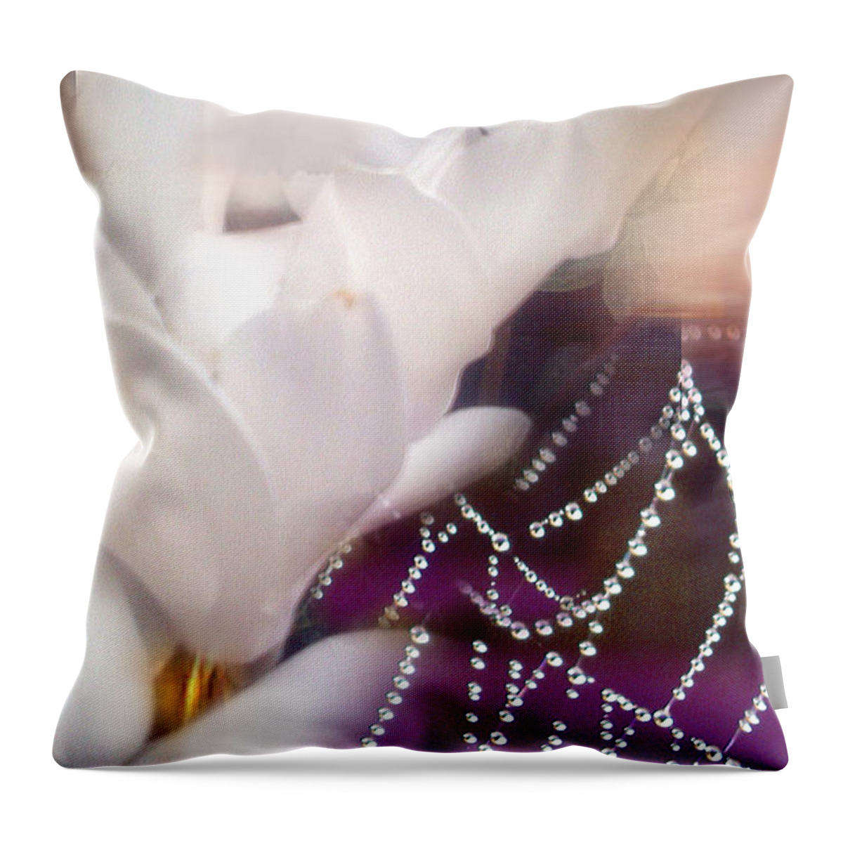 Spider Web Throw Pillow featuring the photograph The Great Romance by Davina Nicholas