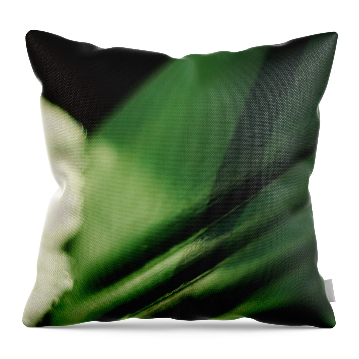 Green Throw Pillow featuring the photograph The Green Chair by Rebecca Sherman