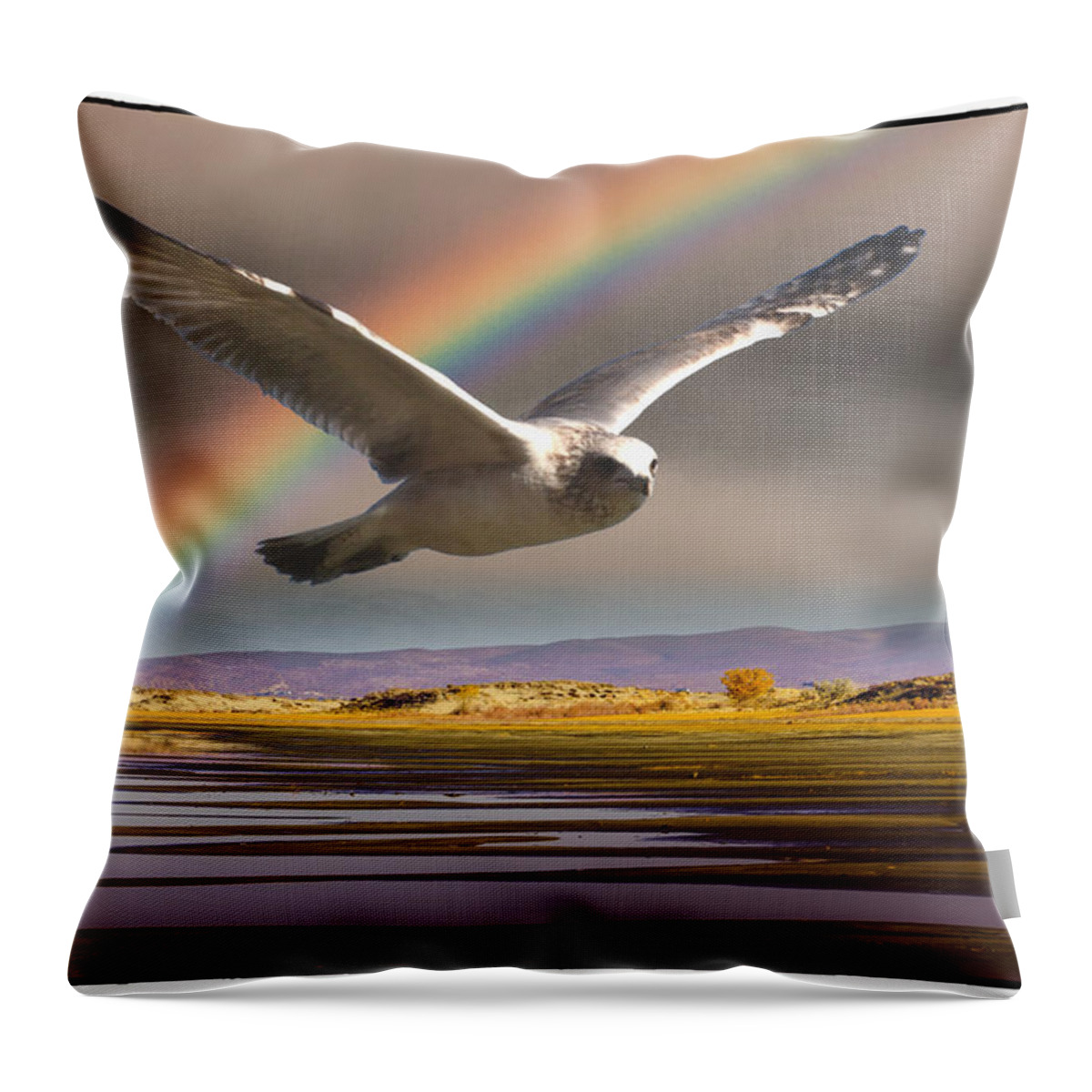 Gull Throw Pillow featuring the photograph The Gull and the Rainbow by Janis Knight