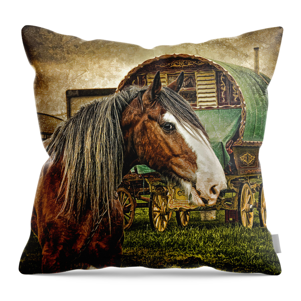 Gypsy Horse Throw Pillow featuring the photograph The Gypsy Vanner by Brian Tarr