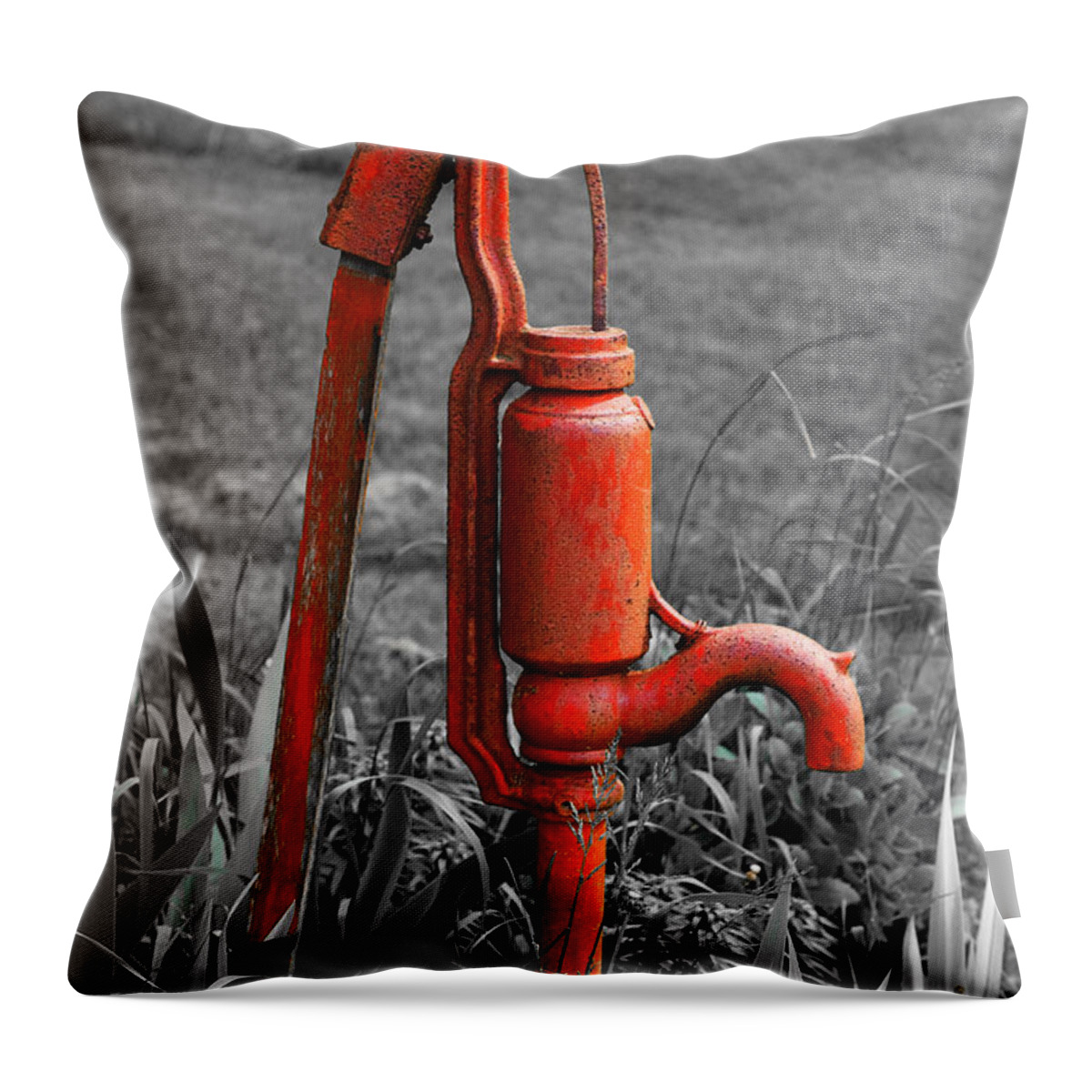 Hand Pump Throw Pillow featuring the photograph The Hand Pump by Barbara McMahon