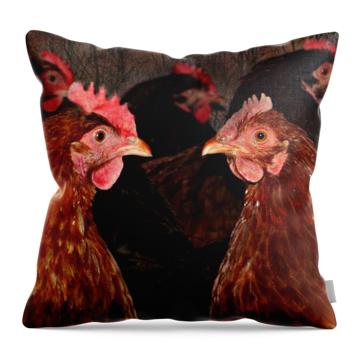 Macro Throw Pillow featuring the photograph The Hen House by Barbara S Nickerson