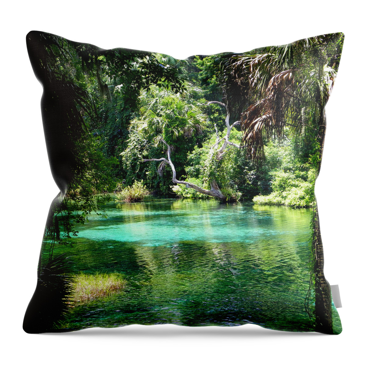 Nature Throw Pillow featuring the photograph The Hidden Spring by Judy Wanamaker