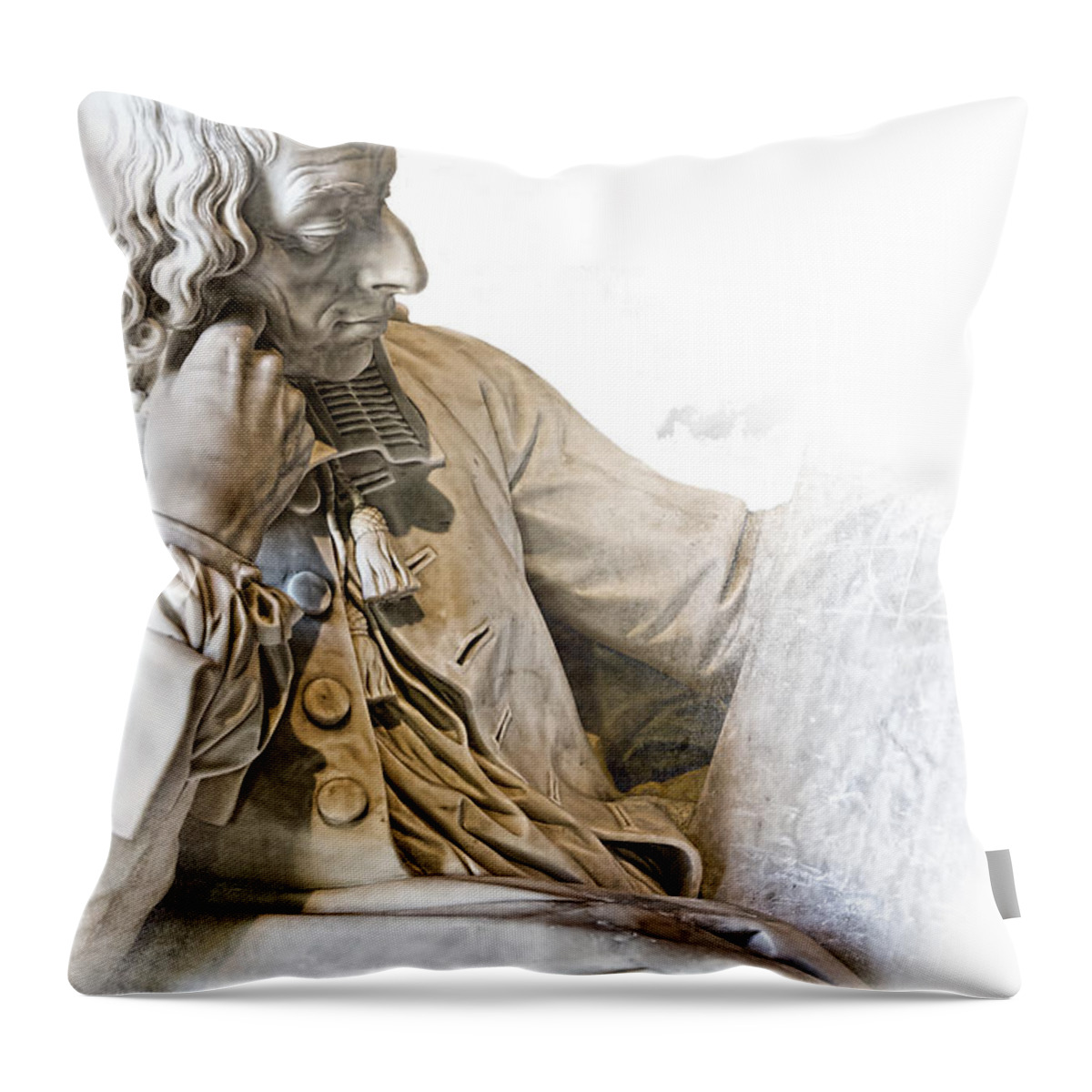 Arch Throw Pillow featuring the photograph The Historian by Evie Carrier