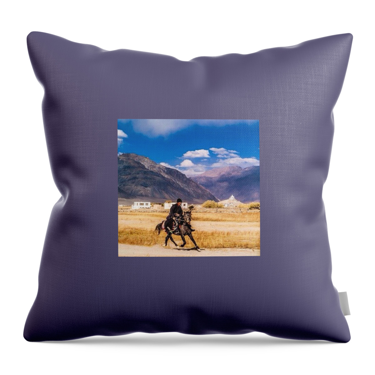 Beautiful Throw Pillow featuring the photograph The Horse Rider, Zanskar by Aleck Cartwright