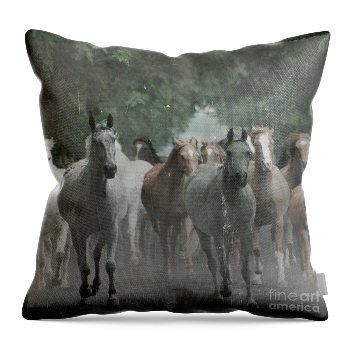 Arabian Throw Pillow featuring the photograph The horsechestnut tree Avenue by Ang El