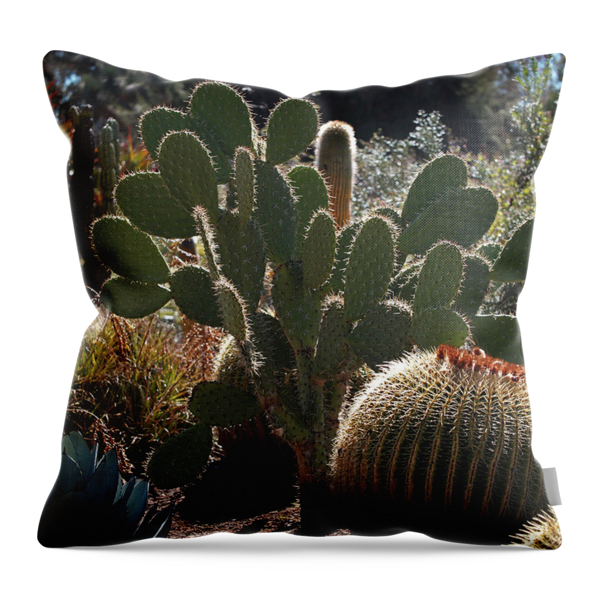 Desert Garden Throw Pillow featuring the photograph The Huntington Desert Garden by Rona Black