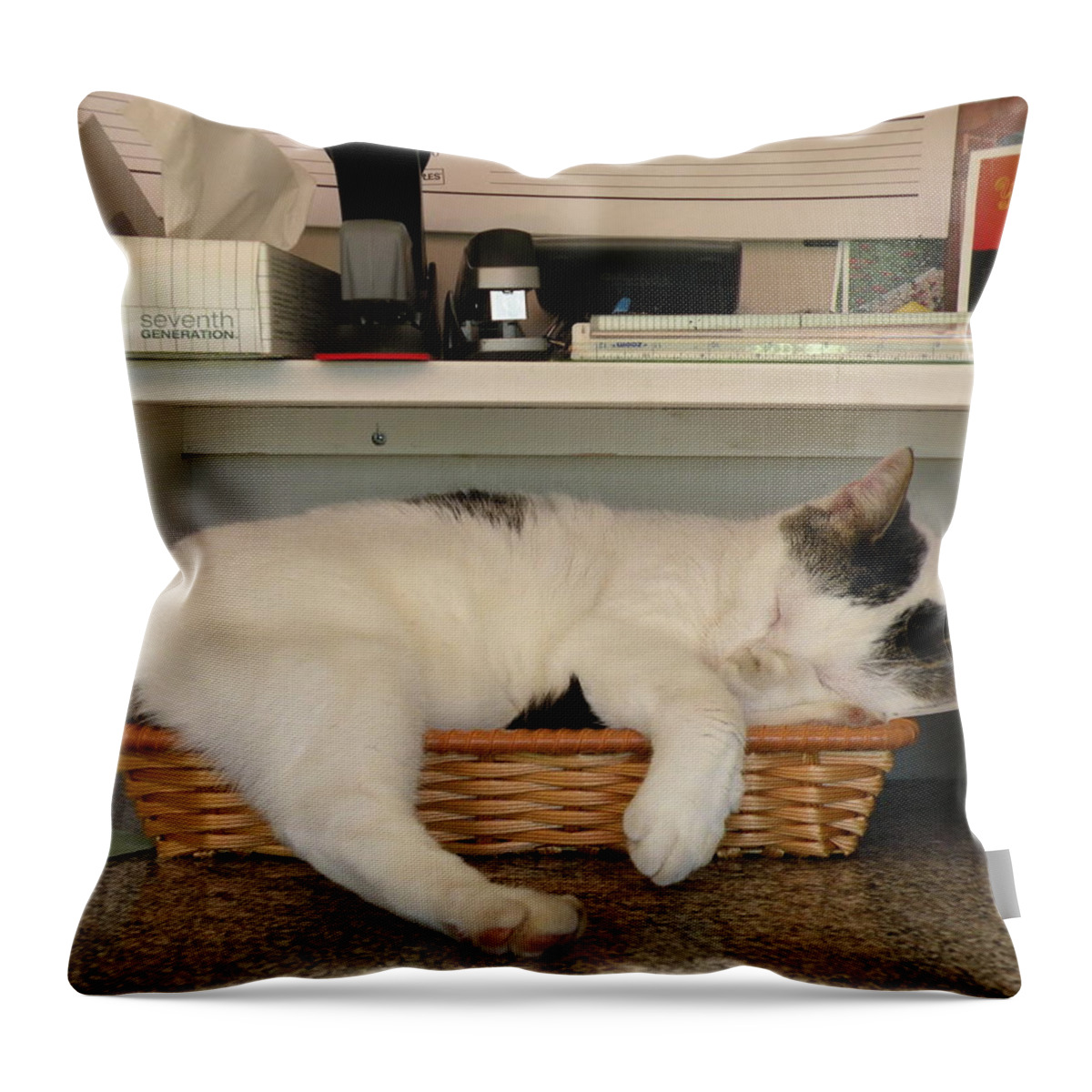 Cat Throw Pillow featuring the photograph The In Box Is Full - At Good Earth Market - Clarkville Delaware by Kim Bemis