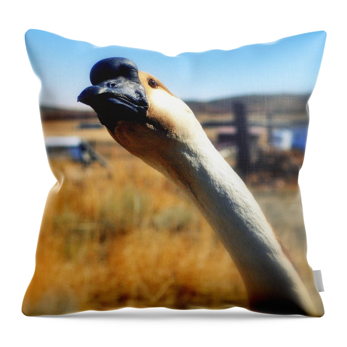 African Goose Throw Pillow featuring the photograph The Inquisitive Gander by Lisa Holland-Gillem