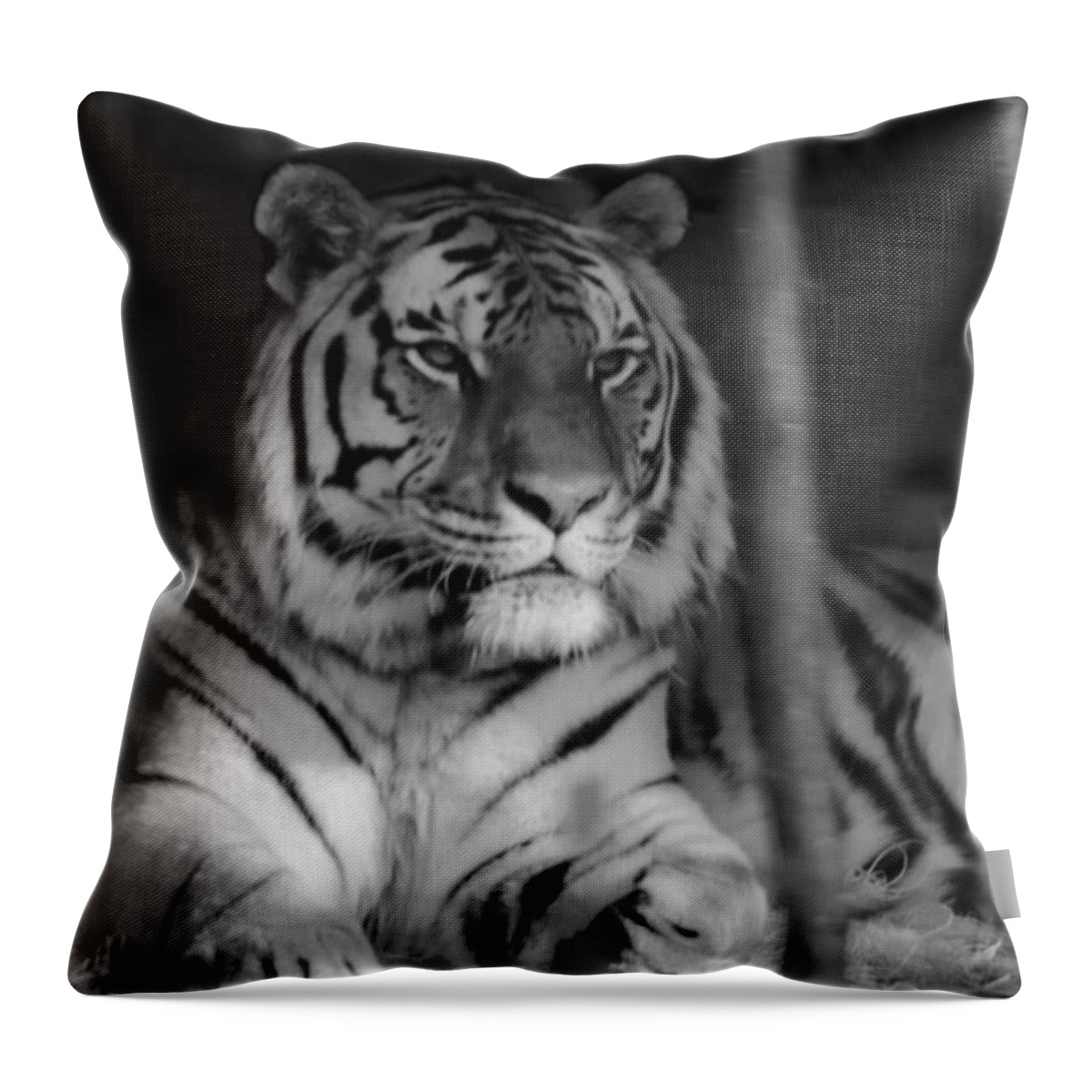 Amur Throw Pillow featuring the photograph The Jungle's Ruler by Laddie Halupa