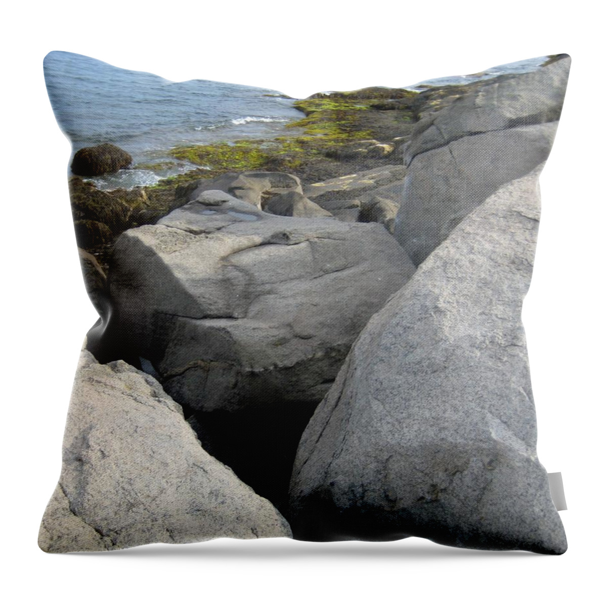 Waterscape Throw Pillow featuring the photograph The Lair by Melissa McCrann