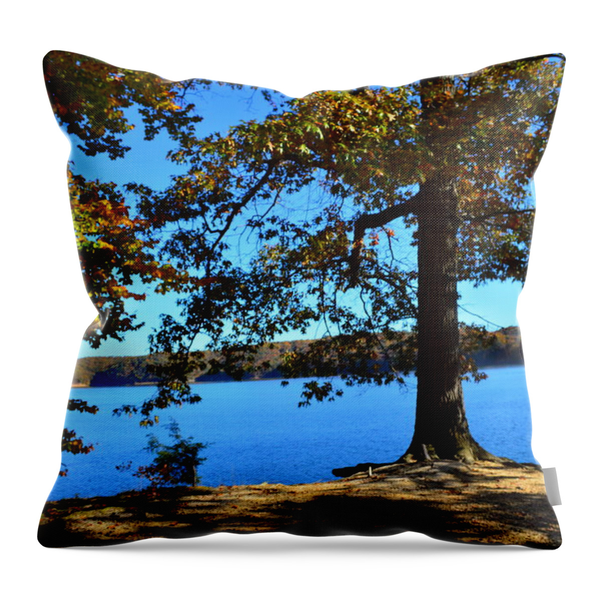 Autumn Trees Throw Pillow featuring the photograph Autumn Trees on Blue Lake by Stacie Siemsen