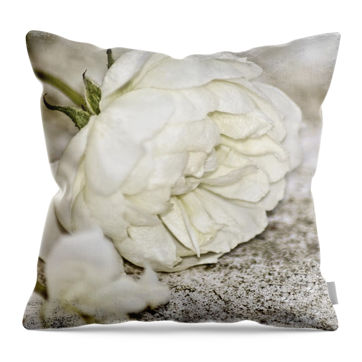 Rose Throw Pillow featuring the photograph The Last Rose by Carolyn Marshall