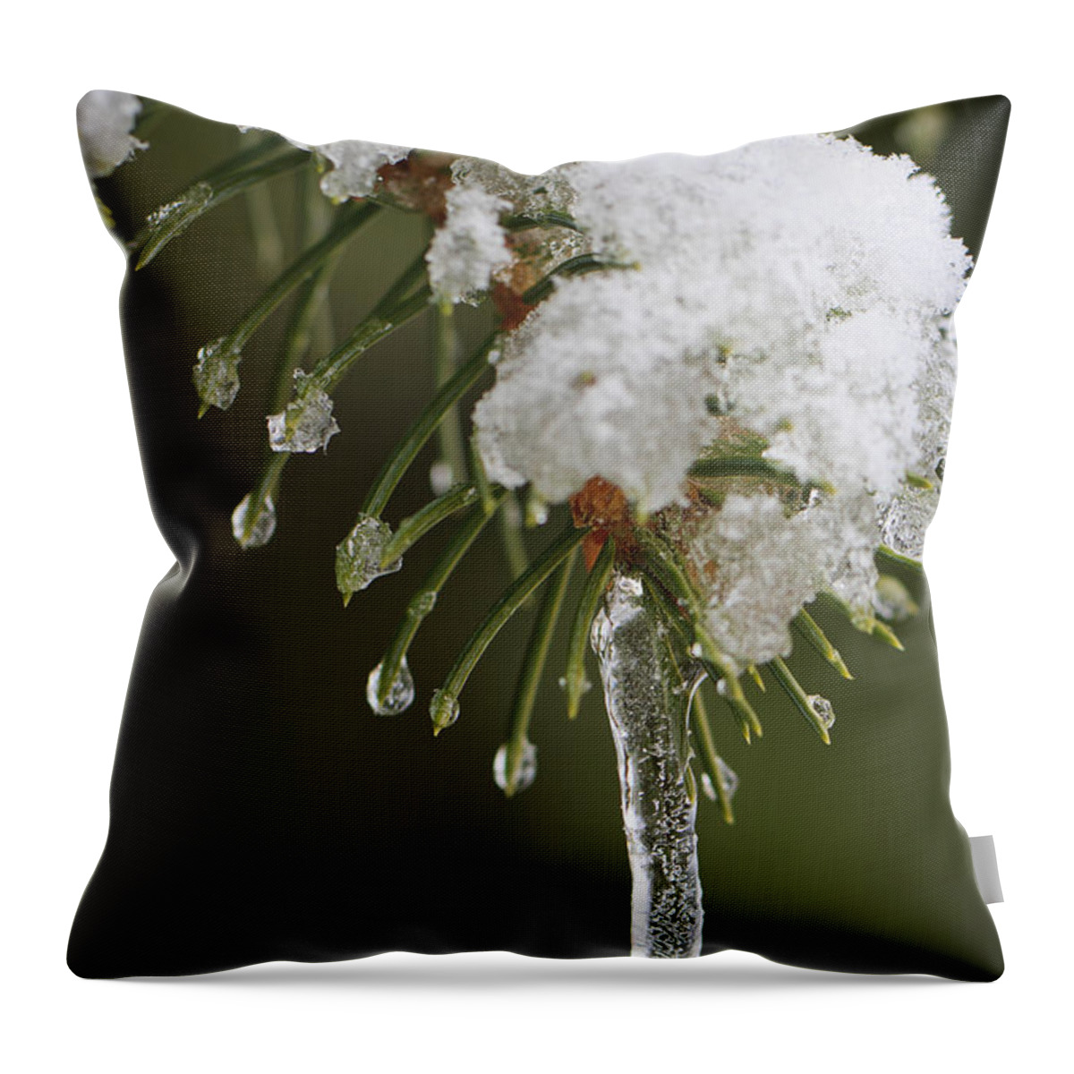 3scape Photos Throw Pillow featuring the photograph The Last Snow by Adam Romanowicz