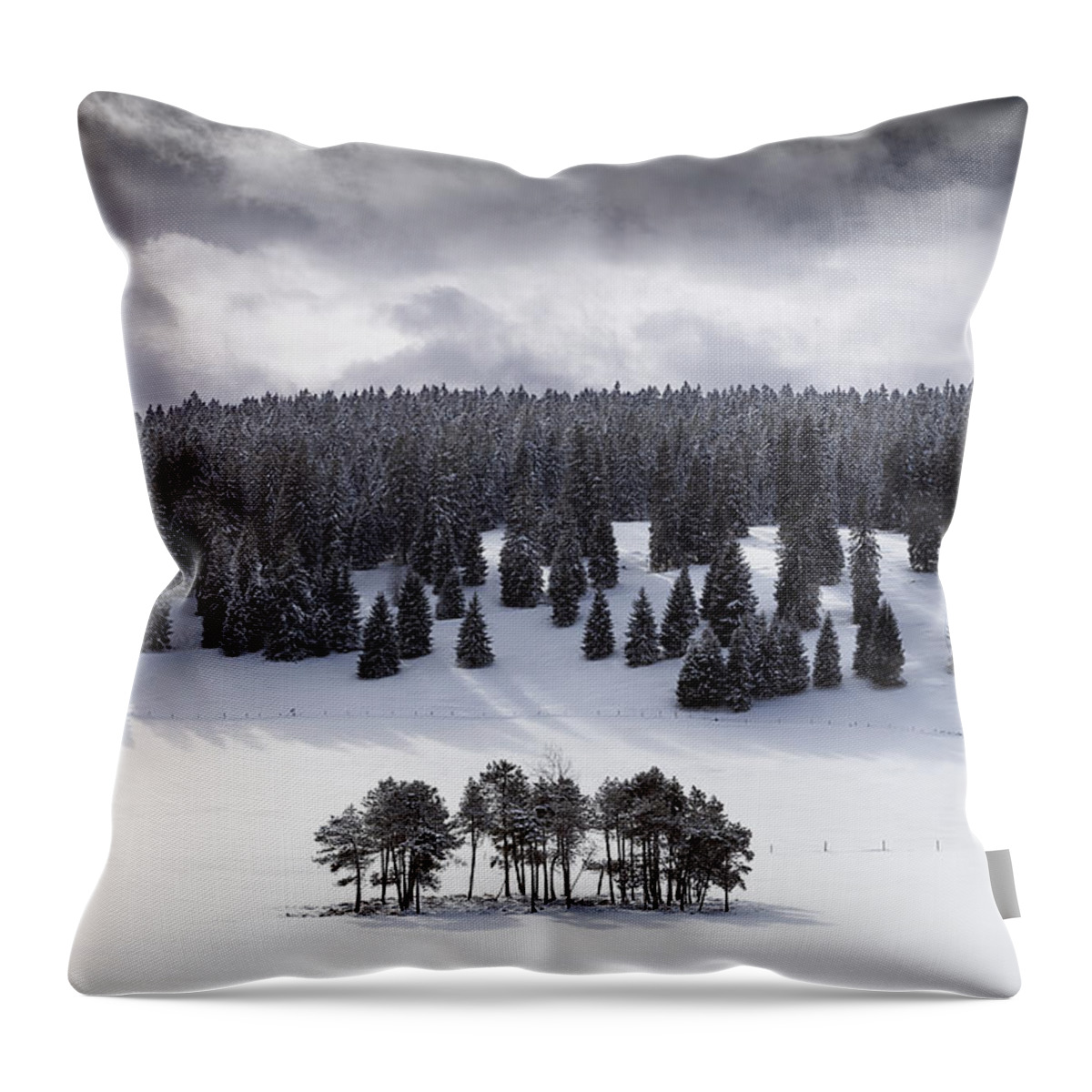 Hill Throw Pillow featuring the photograph The leaders by Dominique Dubied