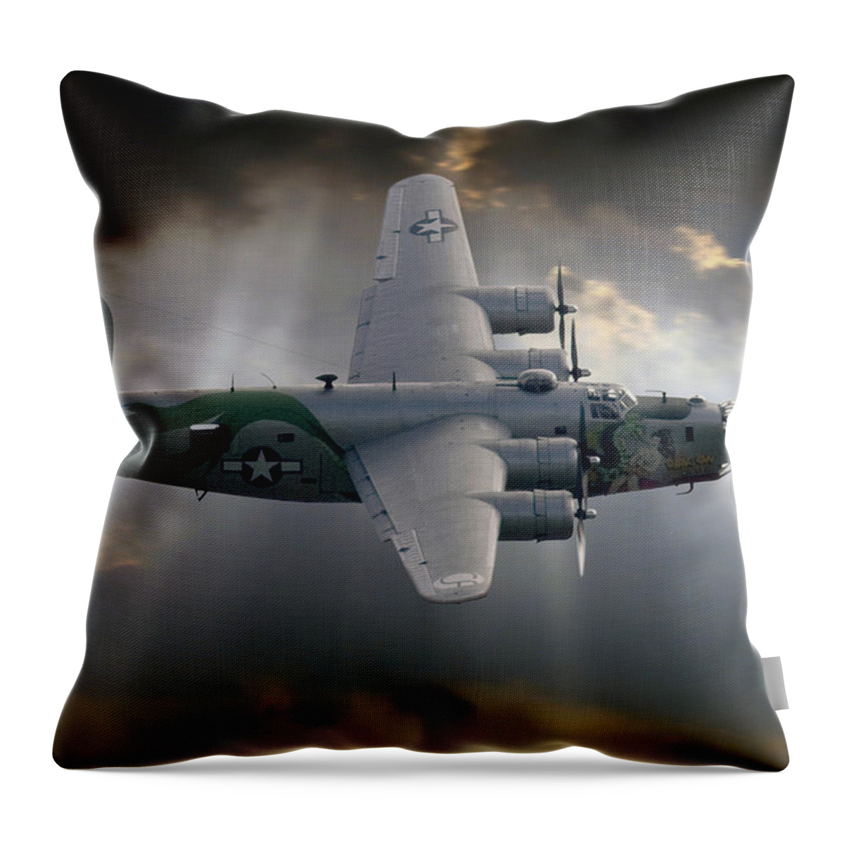  Throw Pillow featuring the photograph The Liberator by Craig Purdie