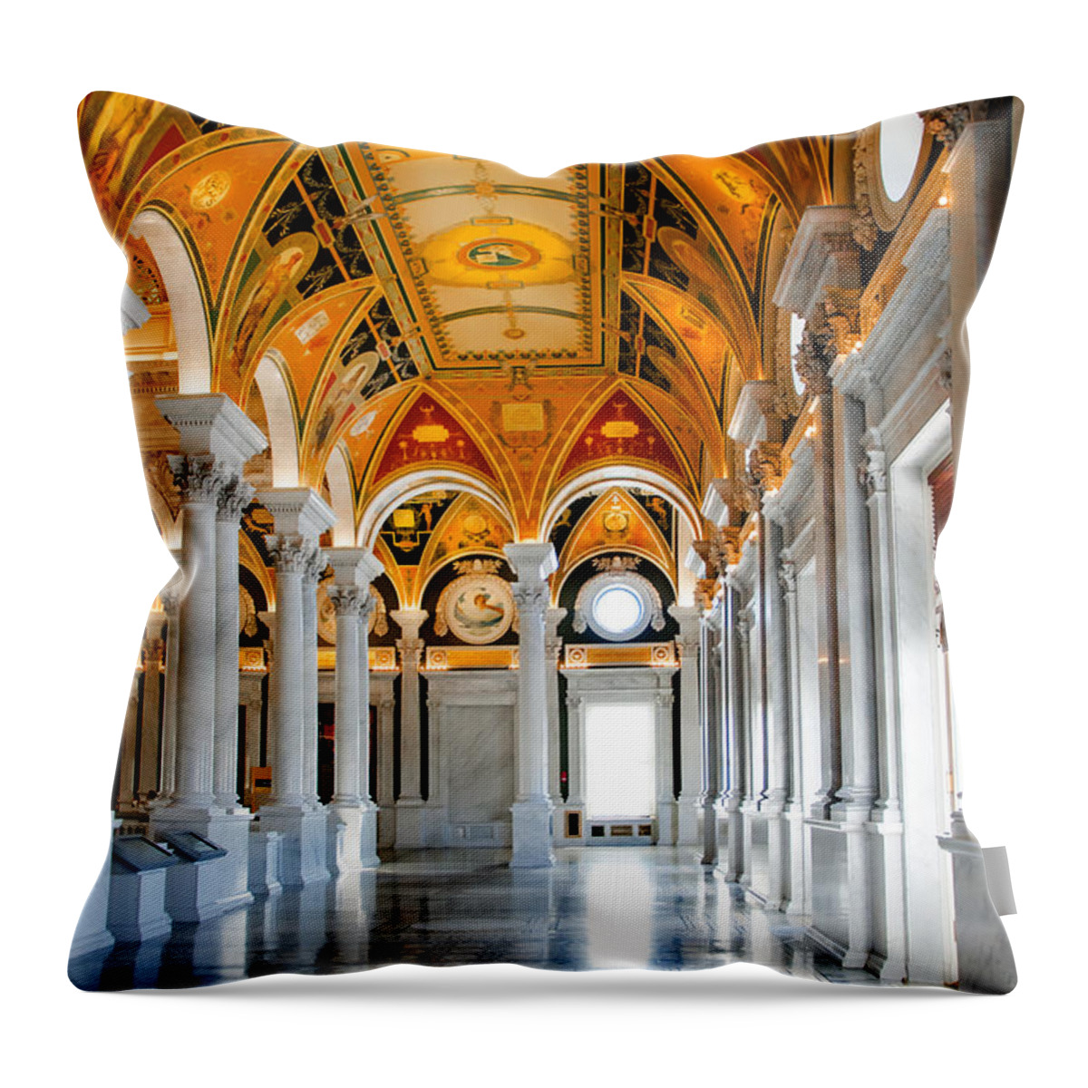 Arlington Cemetery Throw Pillow featuring the photograph The Library by Greg Fortier