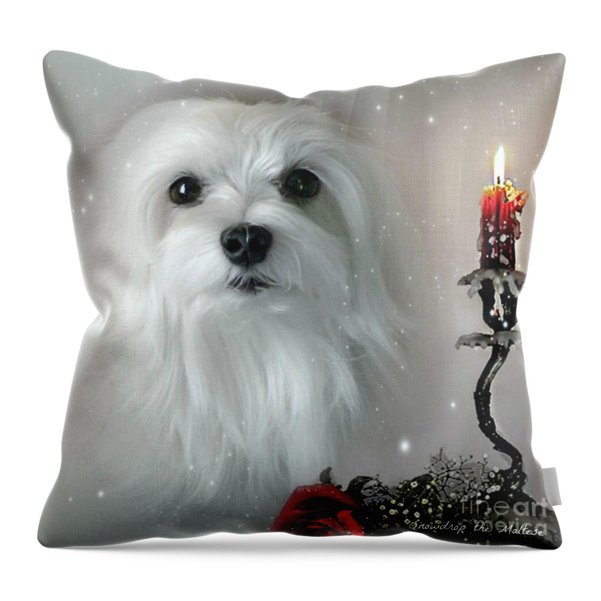 Maltese Dog Throw Pillow featuring the mixed media The Light in my Life by Morag Bates