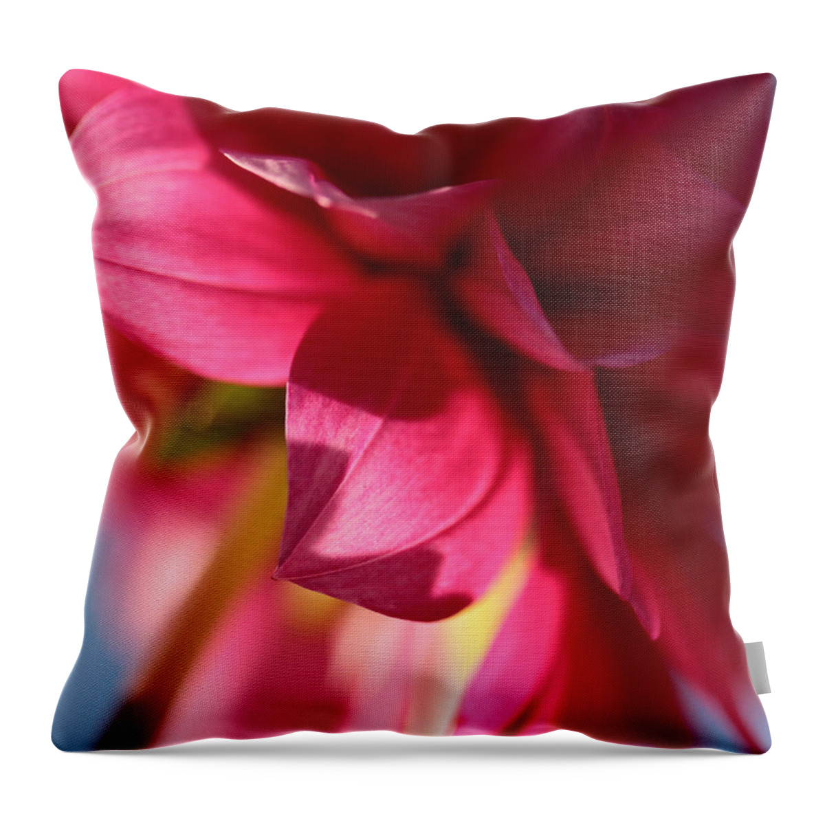 Dahlia Throw Pillow featuring the photograph The Light Touch by Connie Handscomb