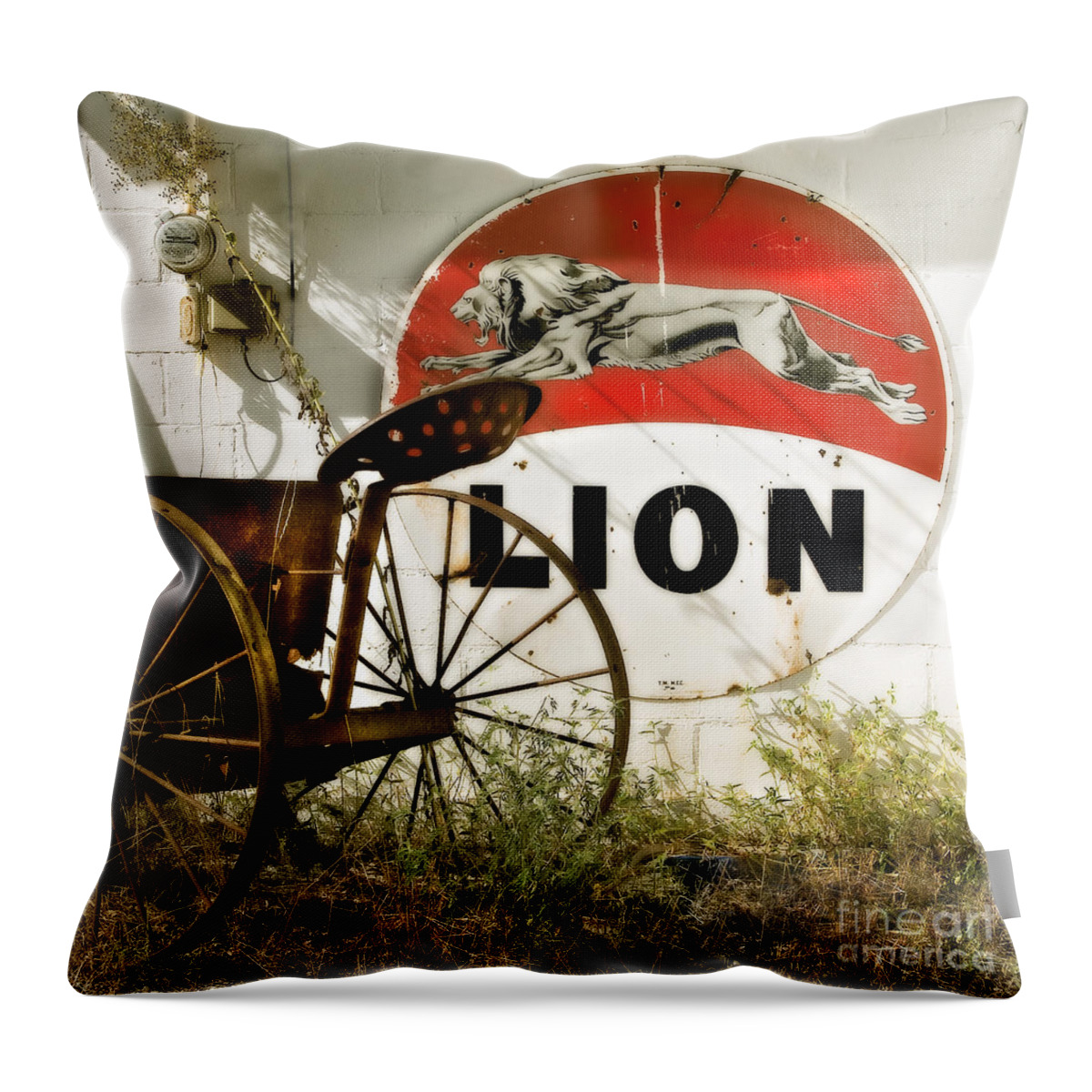 Lion Oil Throw Pillow featuring the photograph The Lion and the Chariot by T Lowry Wilson