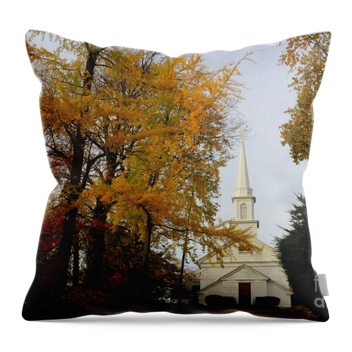  Churches Throw Pillow featuring the photograph The Little Country Church in Autumn by Dora Sofia Caputo