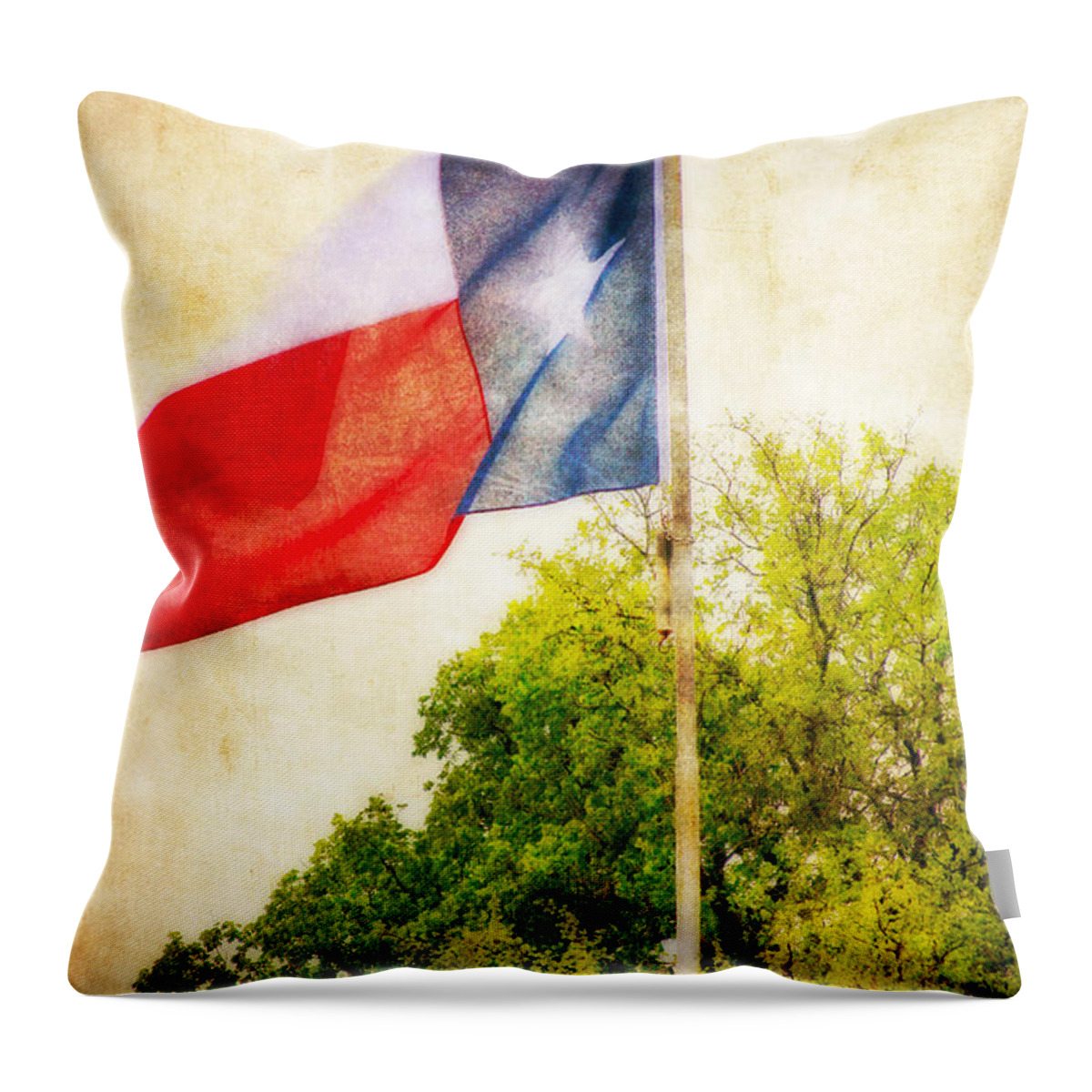 Flag Throw Pillow featuring the photograph The Lone Star Flag by Joan Bertucci