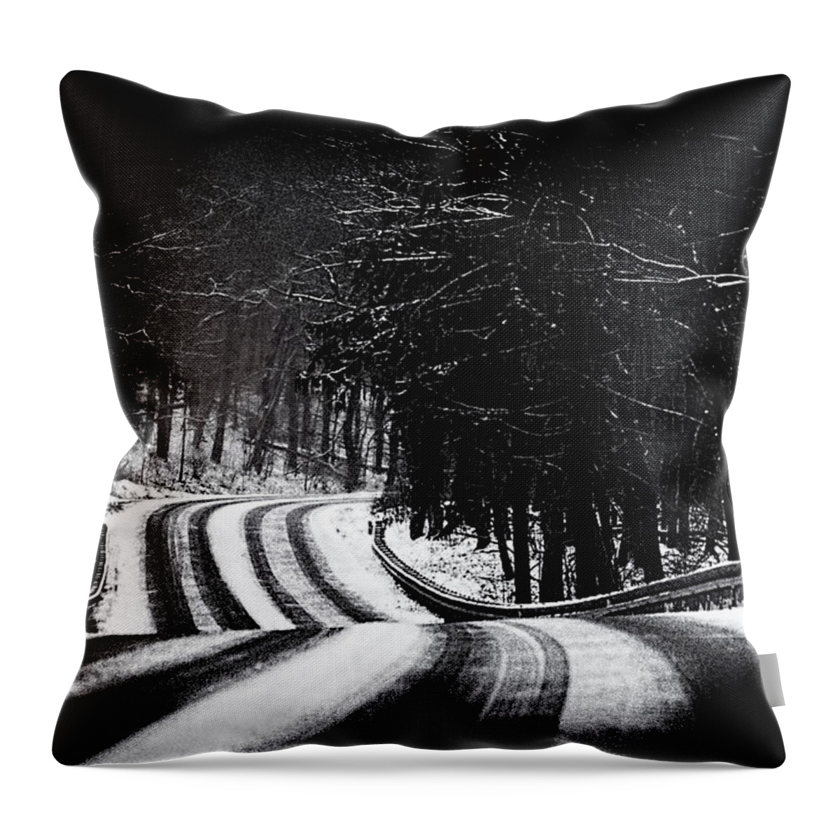 Dark Throw Pillow featuring the photograph The Long and Winding Road by Chris Lord