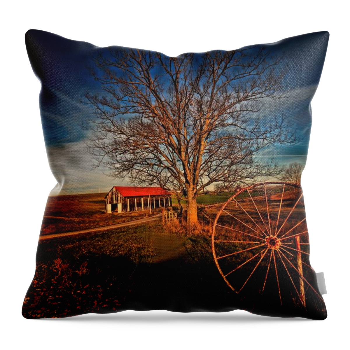 Rural Throw Pillow featuring the photograph The Long and Winding Road by Robert McCubbin
