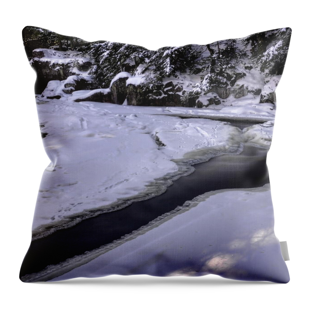Eau Claire Dells Throw Pillow featuring the photograph The Long Slide by Dale Kauzlaric