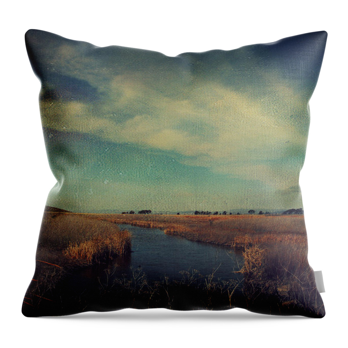 Landscapes Throw Pillow featuring the photograph The Love We Give by Laurie Search