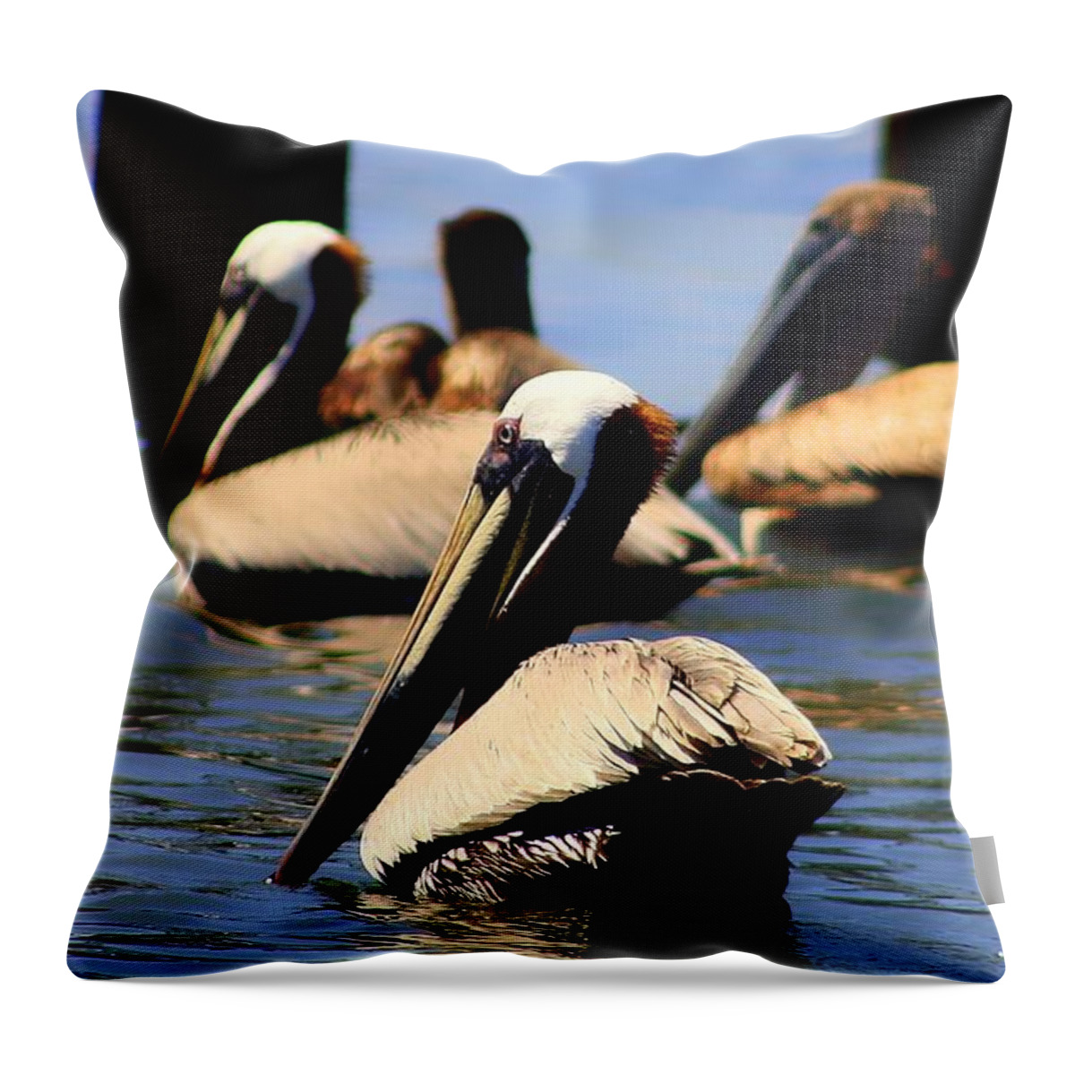 Pelican Throw Pillow featuring the photograph The Lovely Pelican by Debra Forand