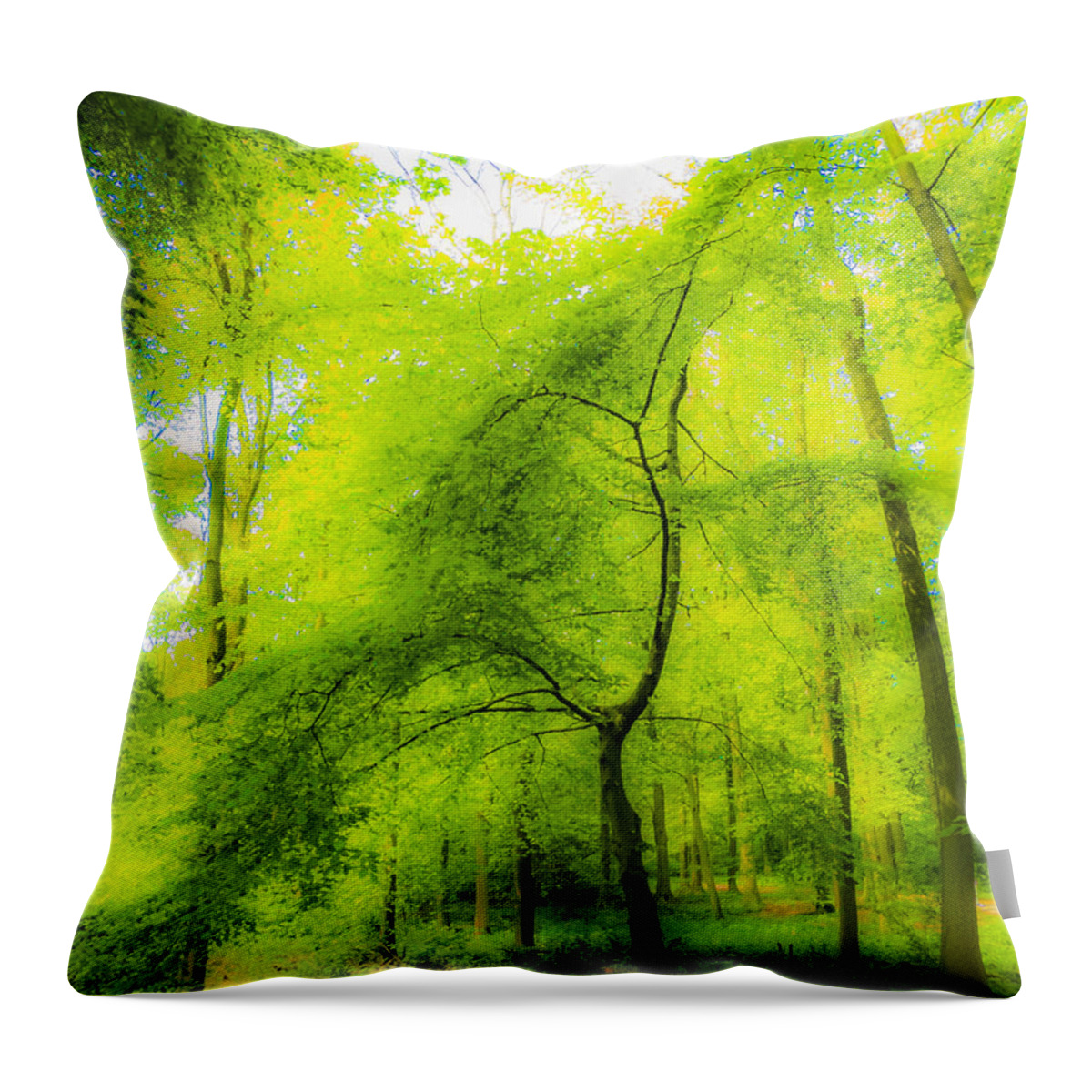 The Magic Forest Throw Pillow featuring the photograph The Magic Forest-04 by Casper Cammeraat