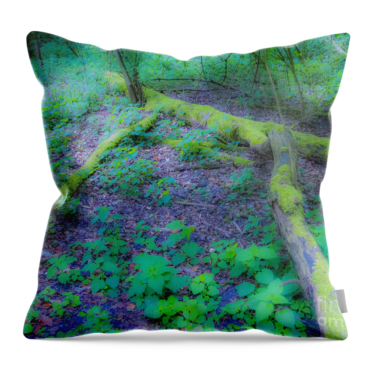 The Magic Forest Throw Pillow featuring the photograph The Magic Forest-12 by Casper Cammeraat