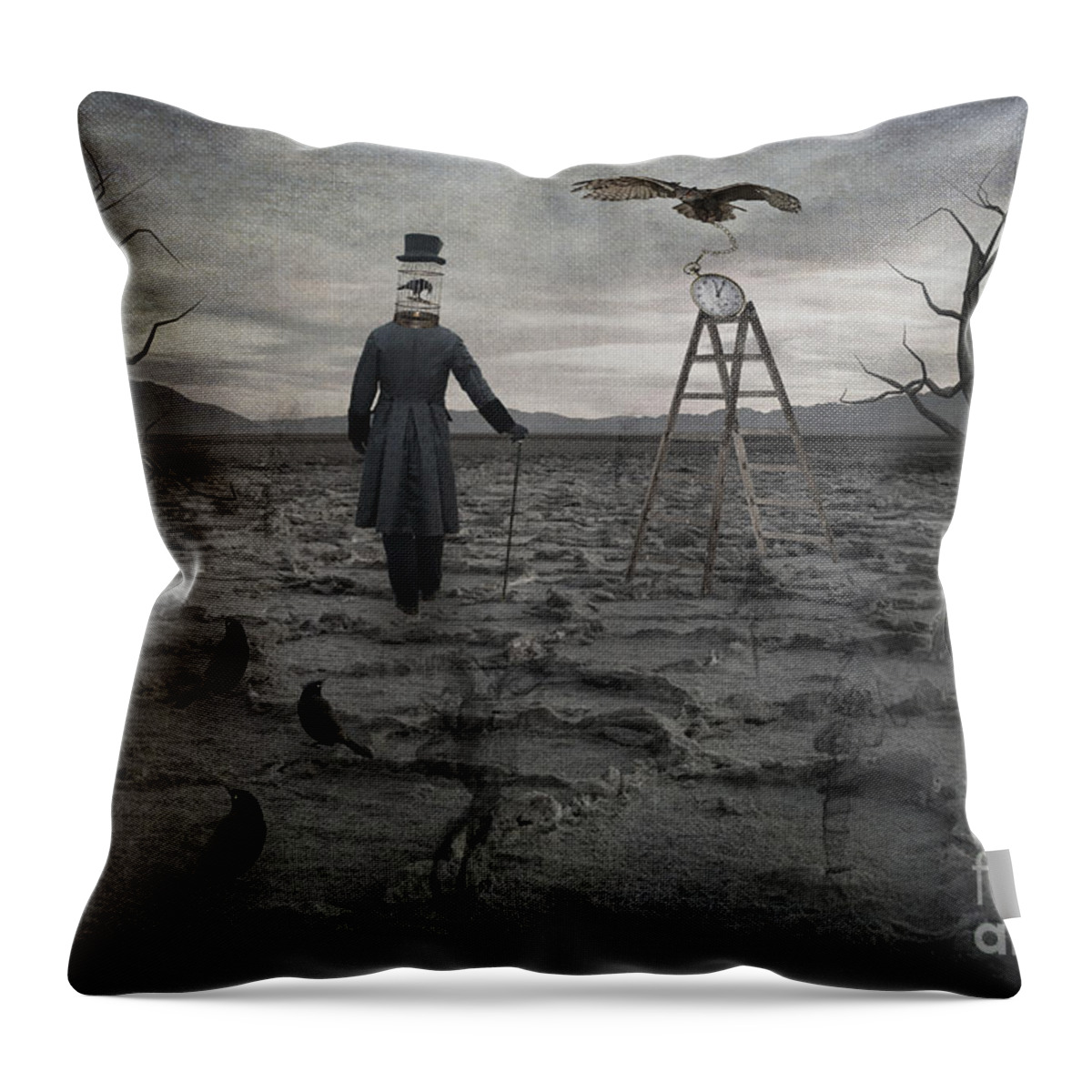 Badwater Throw Pillow featuring the photograph The Magician by Juli Scalzi
