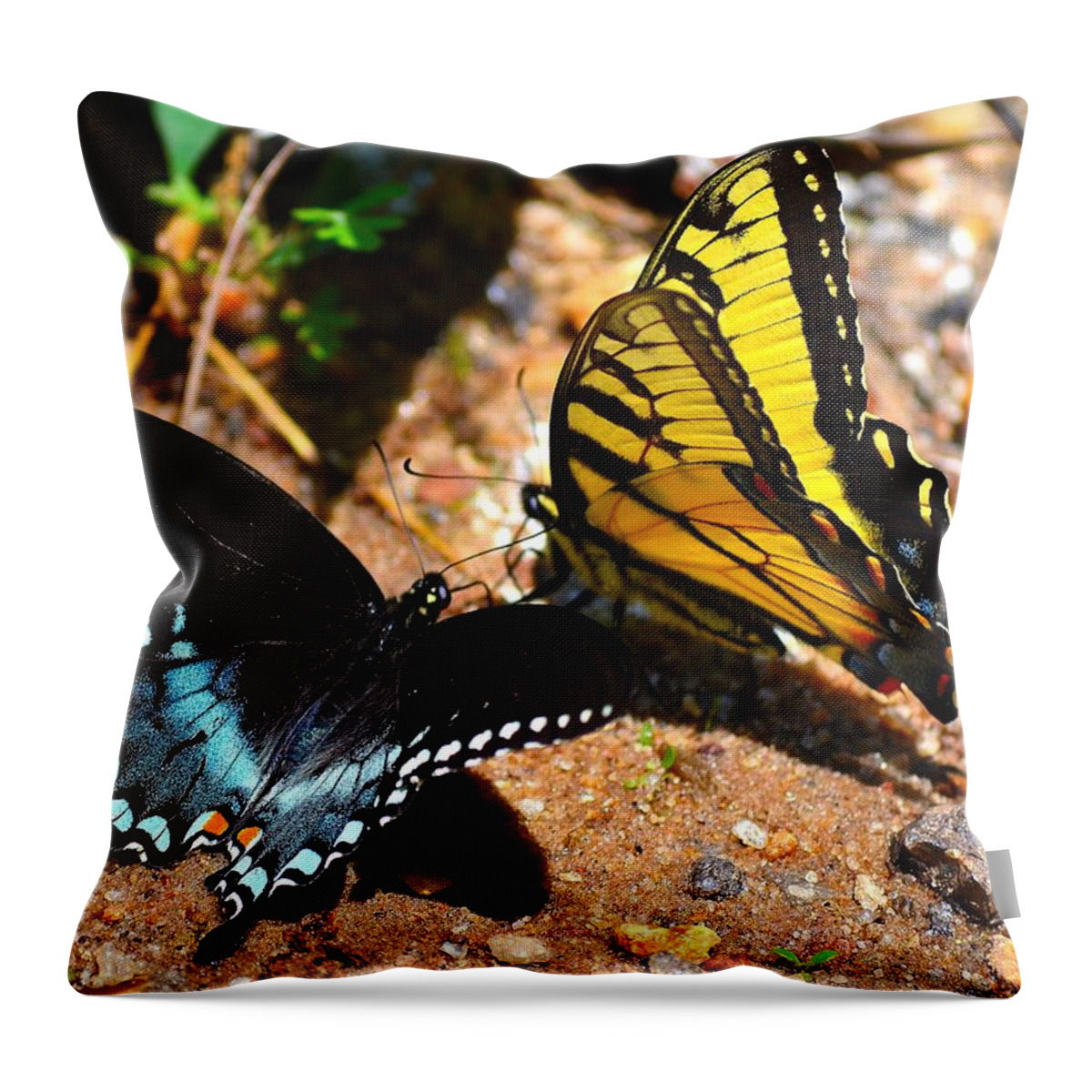 Tiger Throw Pillow featuring the photograph The Meeting of the Butterflies by Tara Potts